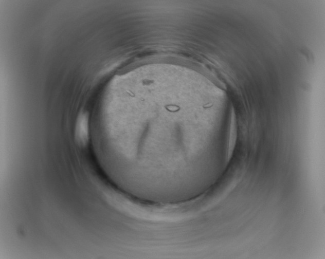 X0000113590028200910091509