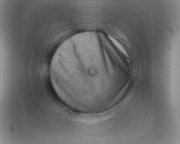 X0000113590029200910091509