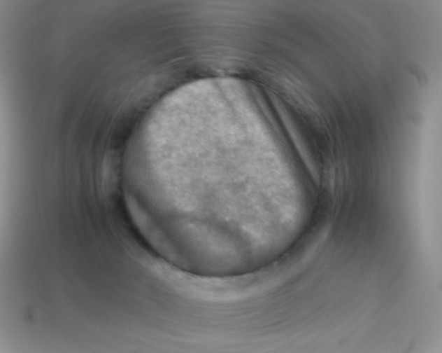 X0000113590030200910091509