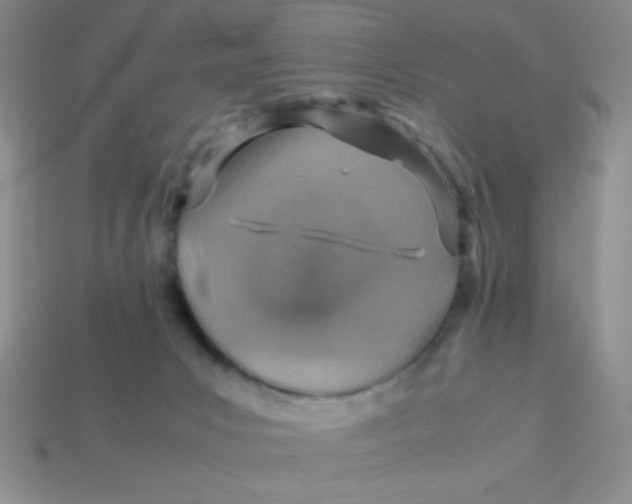 X0000113590031200910091509