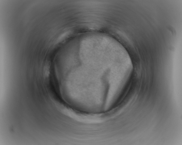 X0000113590032200910091509
