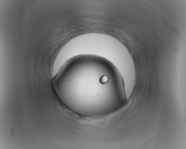X0000113590033200910091509