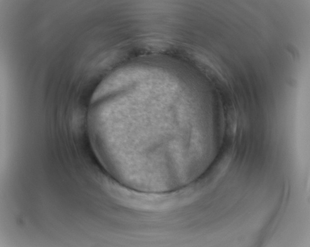 X0000113590034200910091509