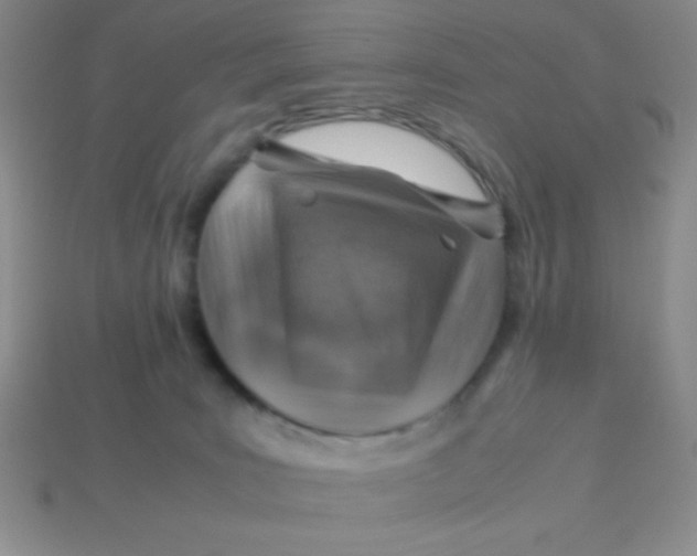 X0000113590035200910091509