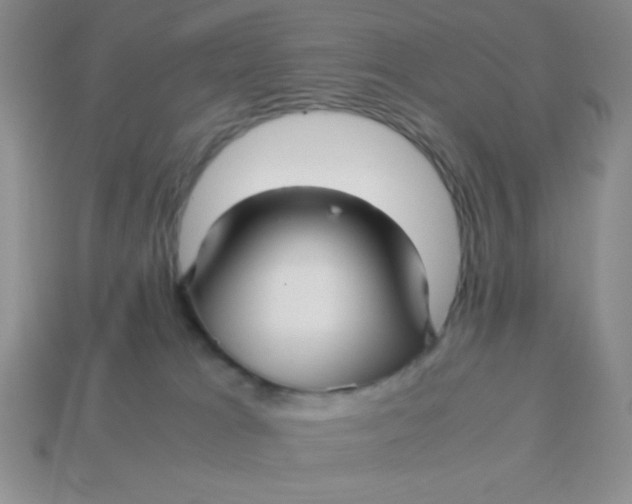 X0000113590037200910091509
