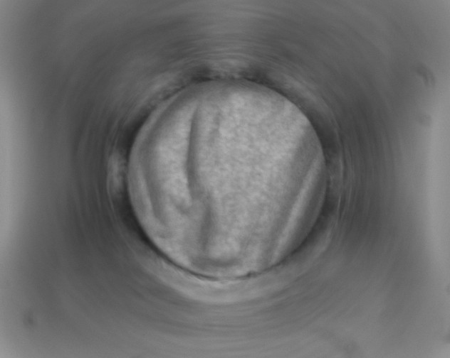 X0000113590038200910091509
