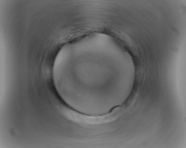 X0000113590039200910091509