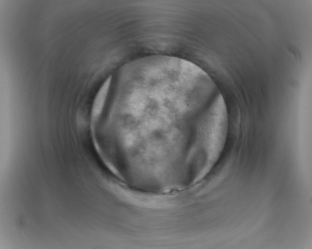 X0000113590040200910091509