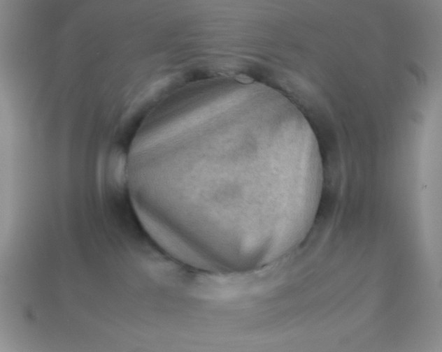 X0000113590041200910091509