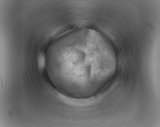 X0000113590042200910091509