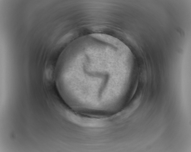 X0000113590044200910091509