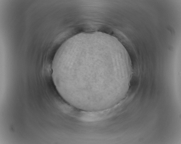 X0000113590045200910091509
