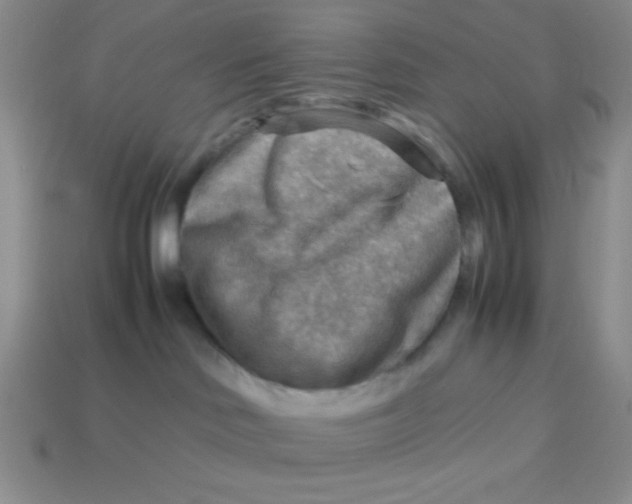 X0000113590046200910091509
