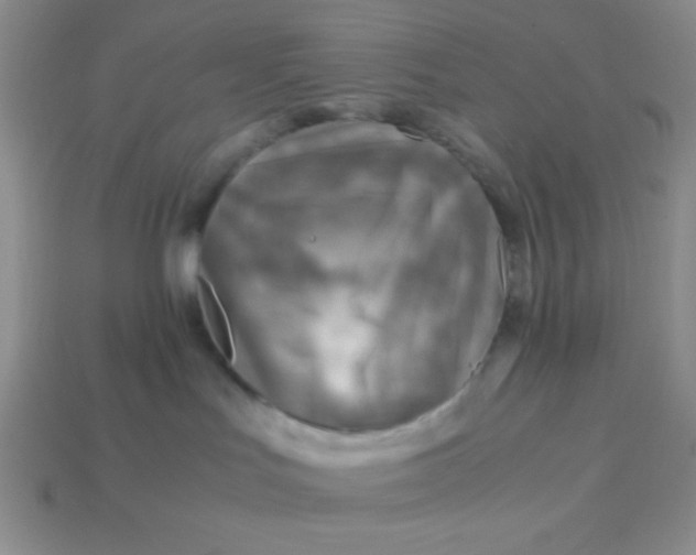 X0000113590047200910091509