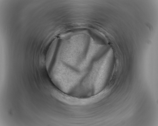 X0000113590048200910091509