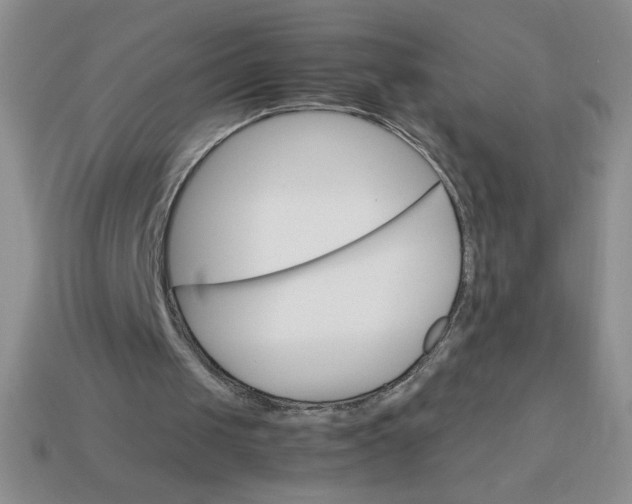 X0000113590049200910091508