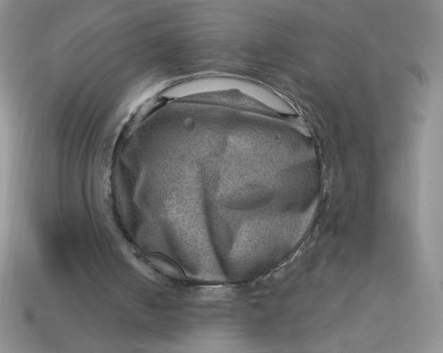X0000113590050200910091508