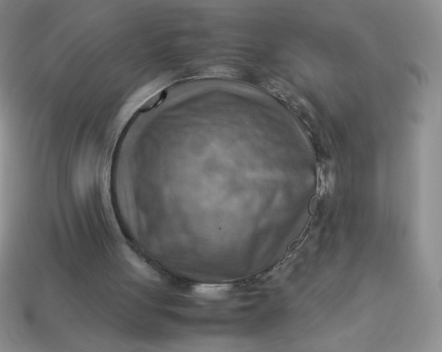 X0000113590051200910091508