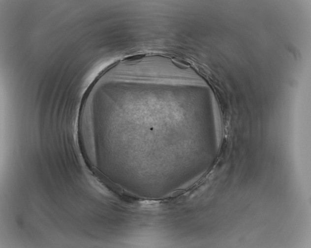 X0000113590052200910091508