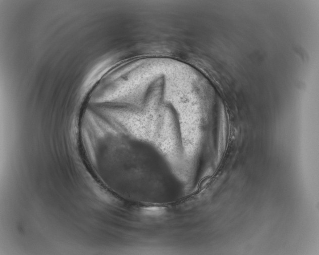 X0000113590053200910091508