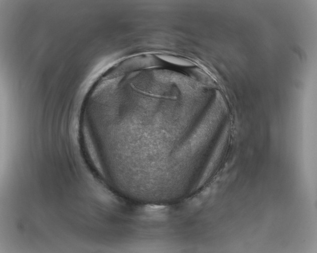 X0000113590055200910091508