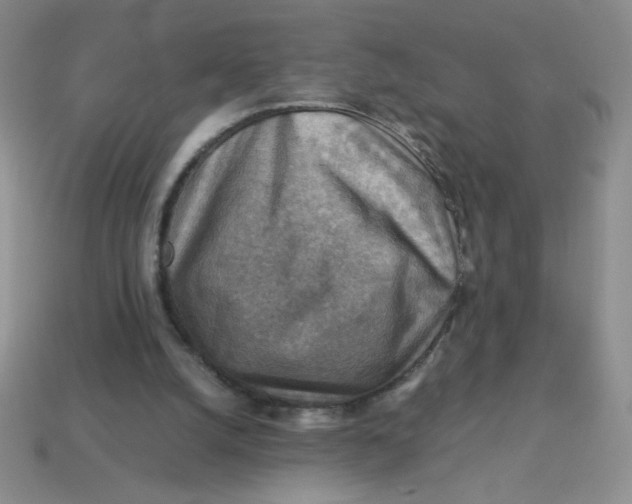 X0000113590056200910091508