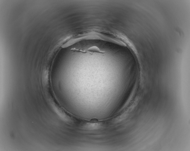 X0000113590057200910091508