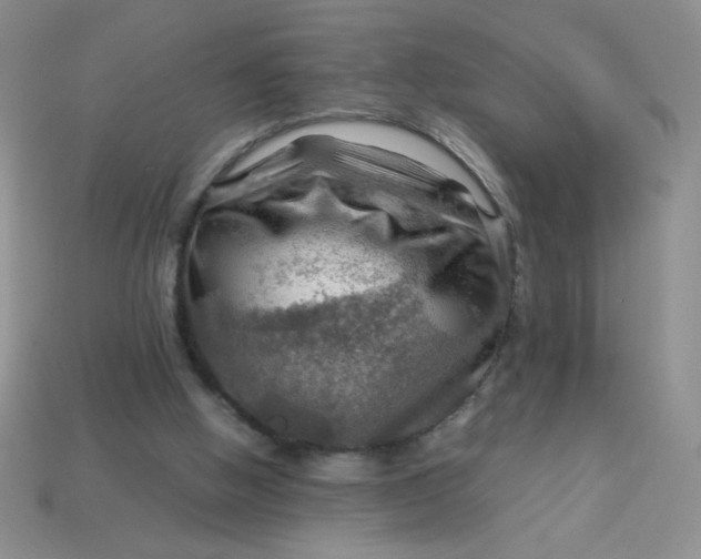 X0000113590058200910091508
