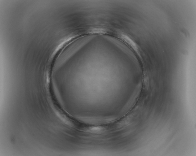 X0000113590059200910091508