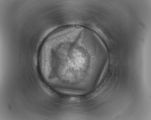 X0000113590060200910091508