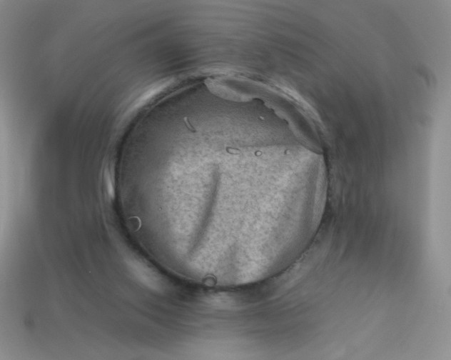 X0000113590062200910091508