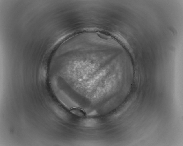 X0000113590063200910091508