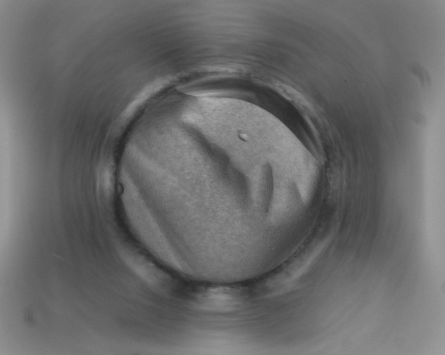 X0000113590064200910091508