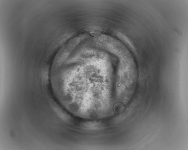 X0000113590065200910091508