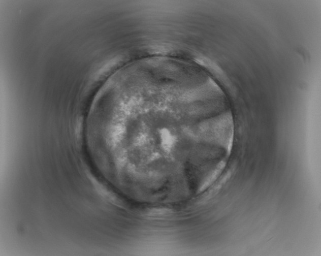 X0000113590066200910091508