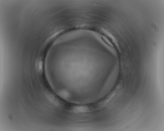 X0000113590067200910091508