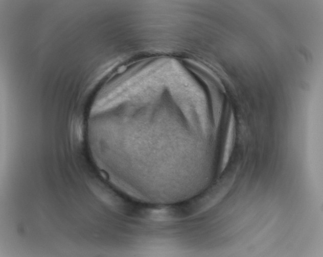 X0000113590068200910091508