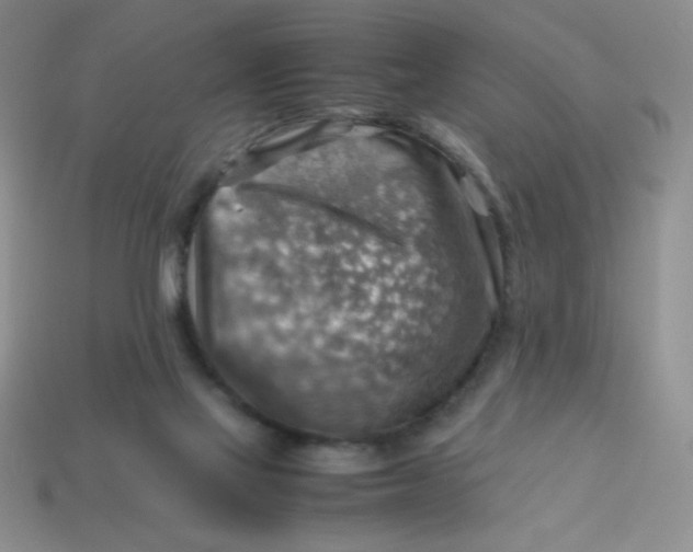 X0000113590069200910091508