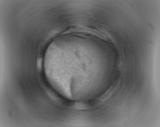 X0000113590070200910091508