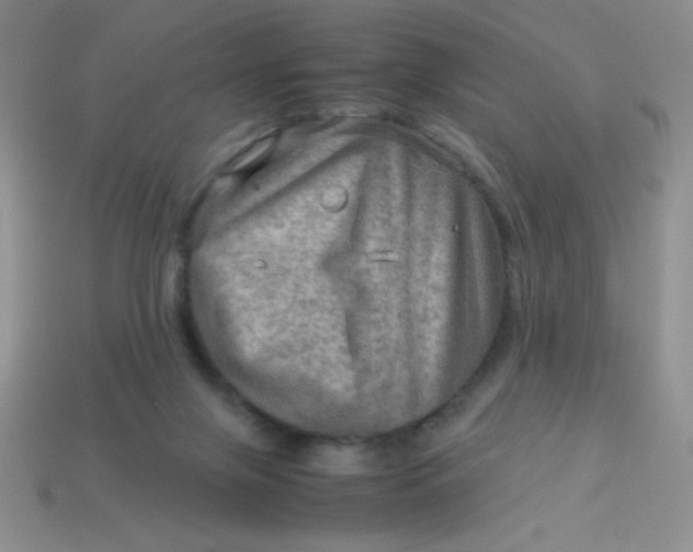 X0000113590071200910091508