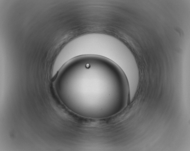 X0000113590072200910091508