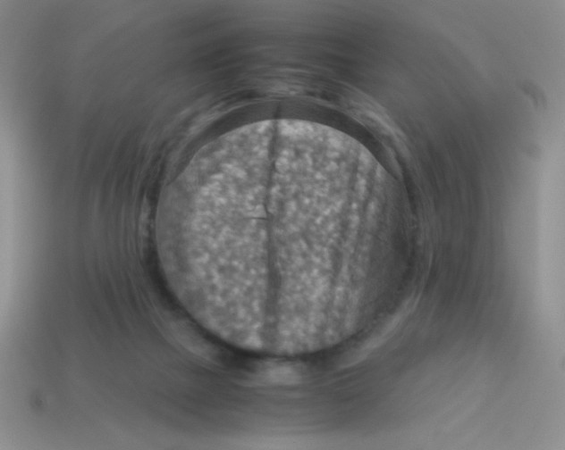 X0000113590073200910091508
