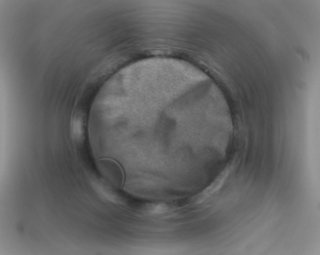 X0000113590074200910091508