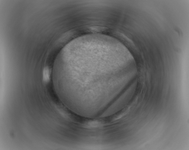 X0000113590075200910091508