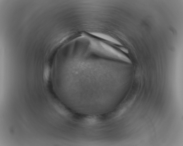 X0000113590076200910091508