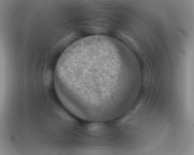 X0000113590077200910091508