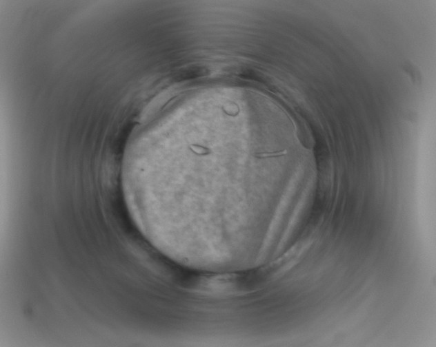 X0000113590078200910091508