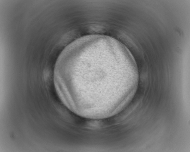 X0000113590079200910091508