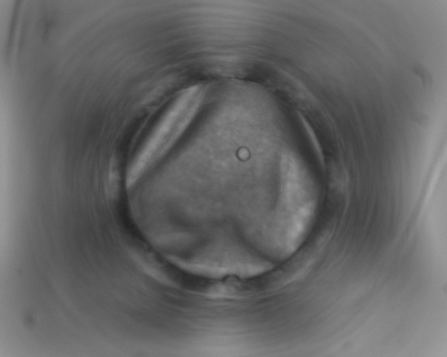 X0000113590080200910091508