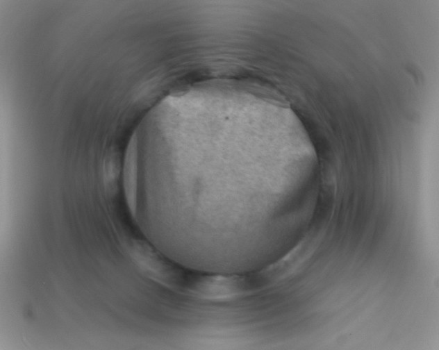 X0000113590082200910091508